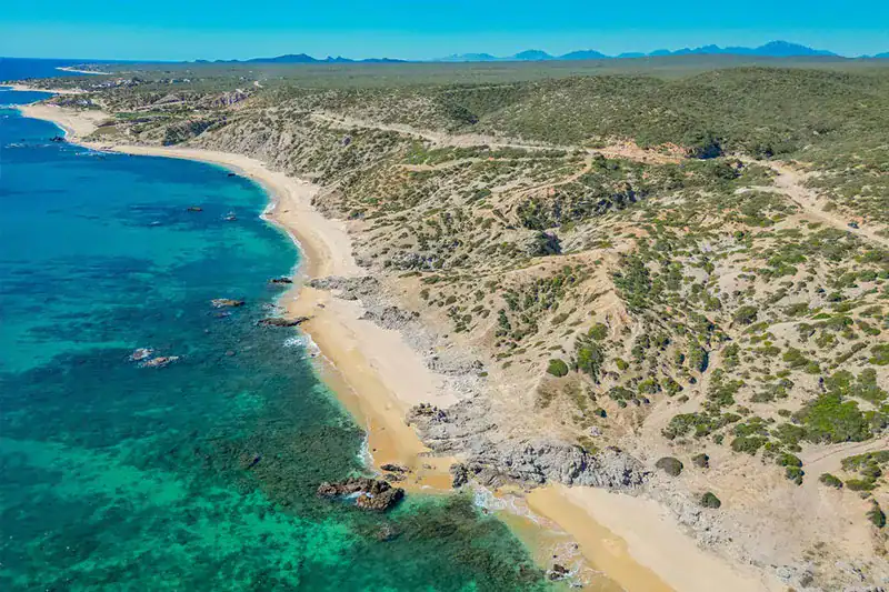 Aerial view of a curving sandy beach and desert hillside on the Baja California Sur coast