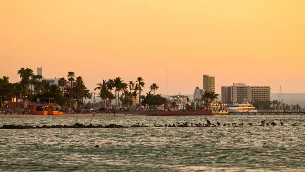 Sunset view of La Paz waterfront with the Malecón promenade, palm trees, marina, and city skyline reflected on the Sea of Cortez, Baja California Sur, Mexico.