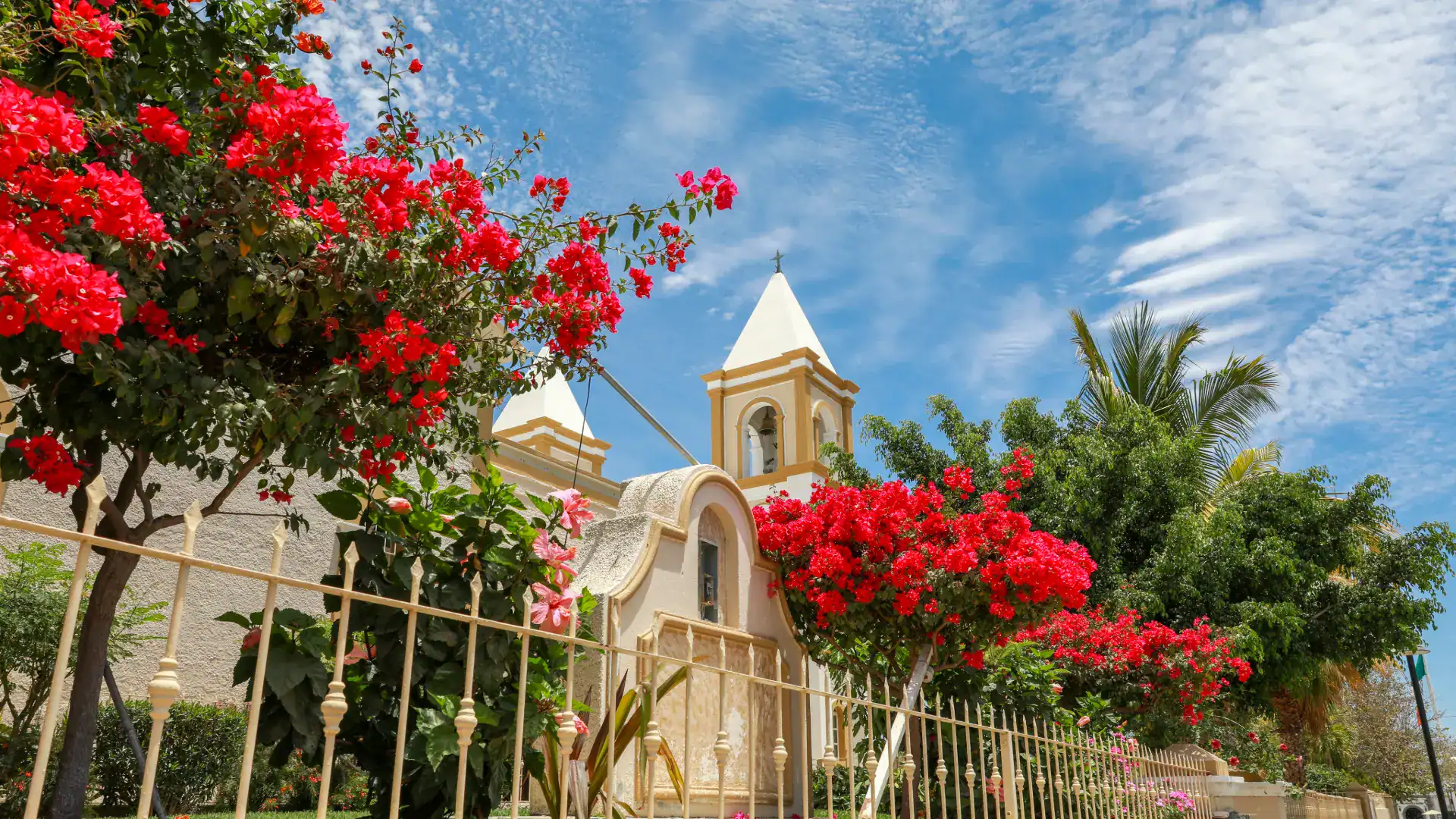 Colonial church facade with bougainvillea in bloom in the historic town center of San José del Cabo, Baja California Sur, Mexico.