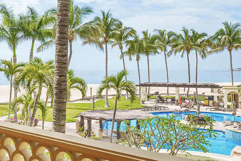 Beachfront resort pool framed by palm trees, seen from a balcony